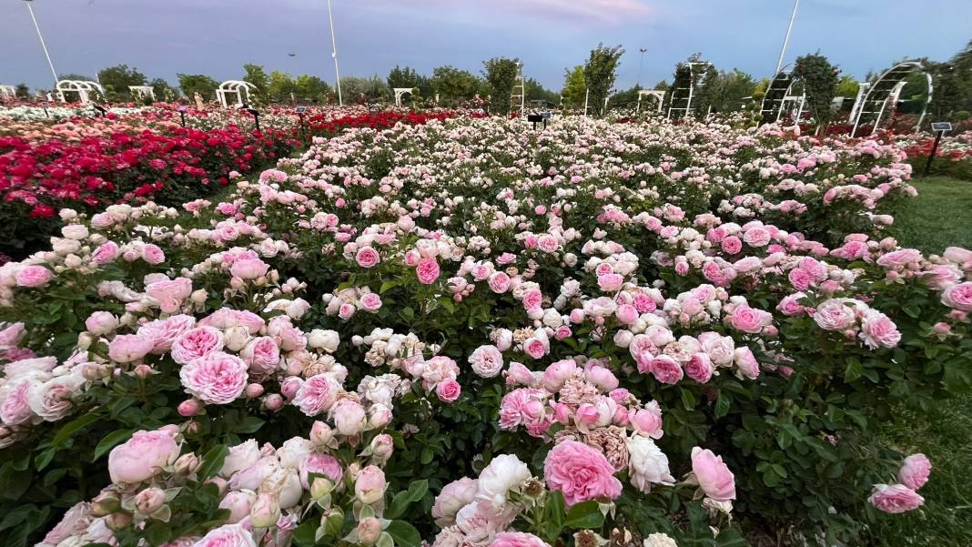 Konya’nın günbatımında masalsı manzara sunan parkı 42
